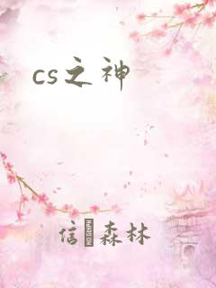 cs之神