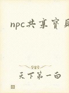 npc共享宝贝