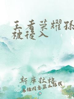 王者荣耀孙尚香被后入