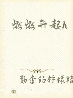燃燃升起h