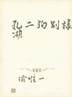 孔二狗别样的江湖