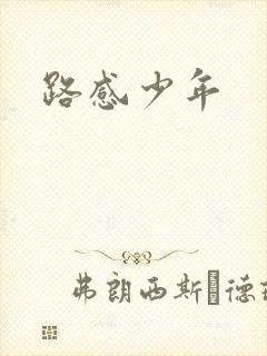 路感少年