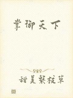 掌御天下