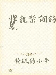 悍龙禁锢的小野凤