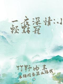 一夜深情:小叔轻点宠