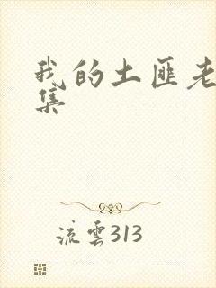 我的土匪老婆全集