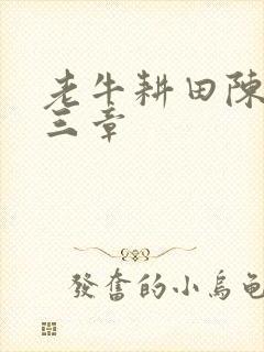 老牛耕田陈雪第三章