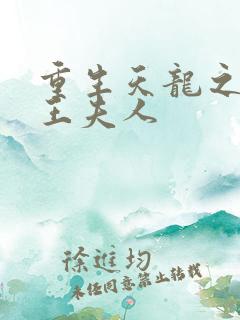 重生天龙之推倒王夫人