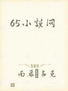 65小说网