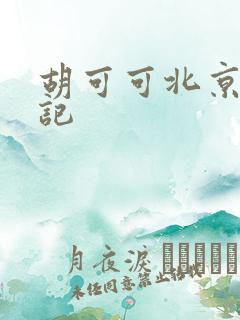 胡可可北京成功记