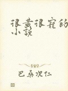 很黄很宠的总裁小说