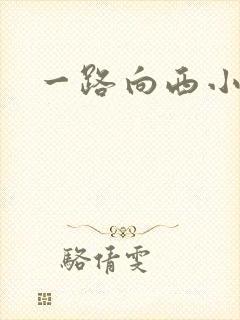 一路向西小说