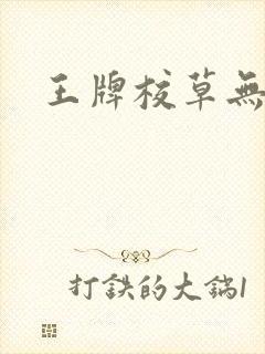 王牌校草无限爱
