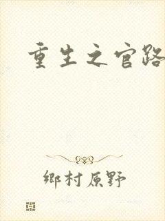 重生之官路情长