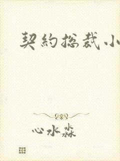 契约总裁小萌宝