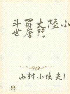 斗罗大陆小说绝世唐门