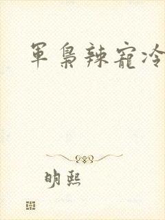 军枭辣宠冷妻