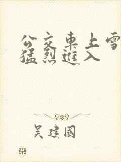 公交车上雪柔被猛烈进入