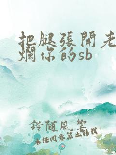 把腿张开老子臊烂你的sb