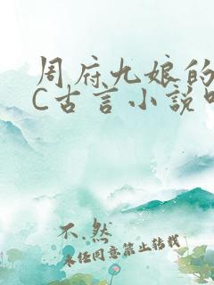 周府九娘的NPC古言小说叫什么