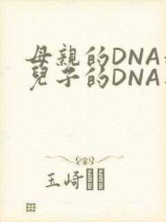 母亲的DNA和儿子的DNA是一样的吗