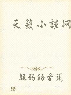 天籁小说网