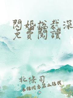 闪婚总裁深深宠免费阅读