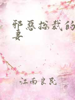 邪恶总裁的替身妻