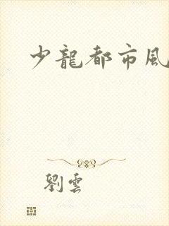 少龙都市风流行