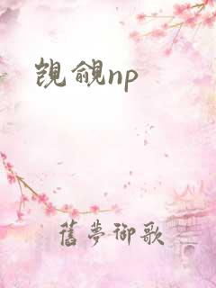 觊觎np