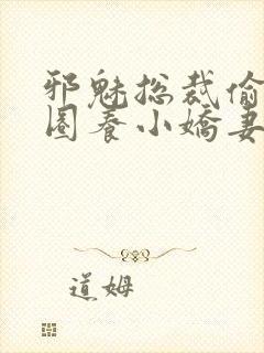 邪魅总裁偷心计圈养小娇妻