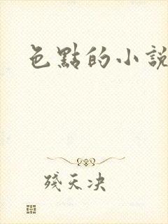 色点的小说