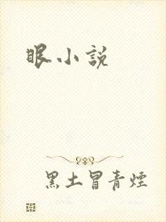 眼小说