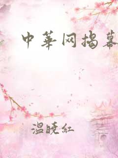 中华网揭幕内参