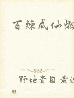 百炼成仙燃文
