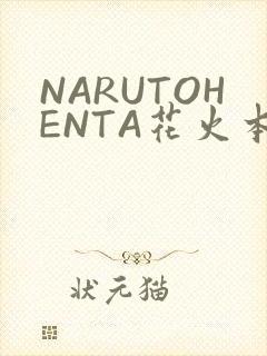 NARUTOHENTA花火本子