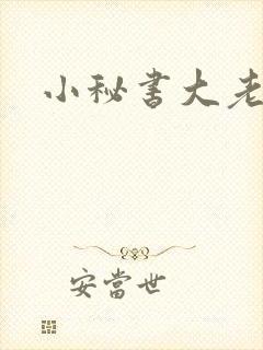小秘书大老婆