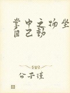 掌中之物坐上来自己动