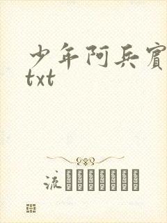 少年阿兵宾小说txt
