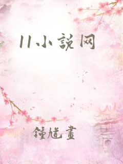 11小说网