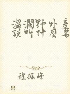 温澜野外产子小说叫什么名字