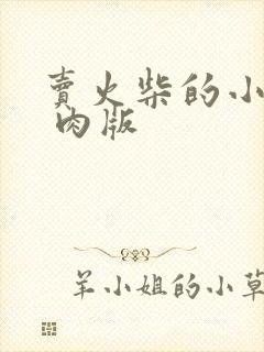 卖火柴的小男孩 肉版