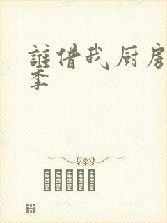 谁借我厨房第三季