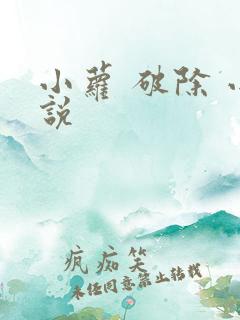 小萝 破除 小说