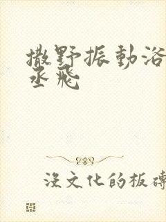 撒野振动浴缸车丞飞