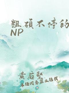 粗硕不停的进出NP