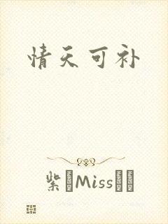 情天可补