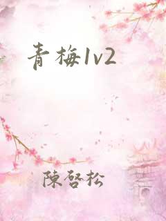 青梅1v2