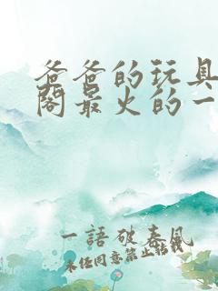 爸爸的玩具笔趣阁最火的一句