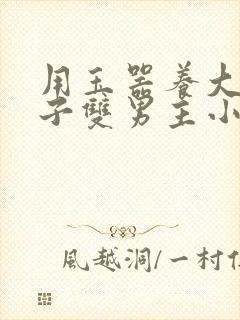 用玉器养大的皇子双男主小说